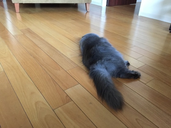 a0258686_05573341.jpeg