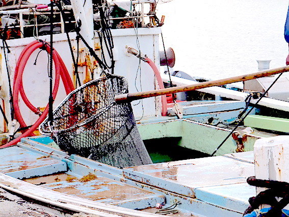 d0329286_14525780.jpg