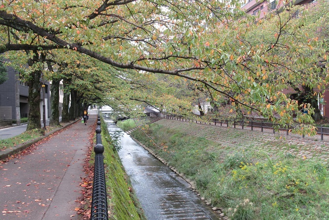d0183387_14411059.jpg