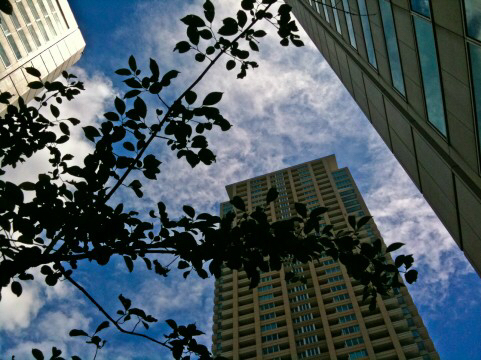 f0378589_22563966.jpg