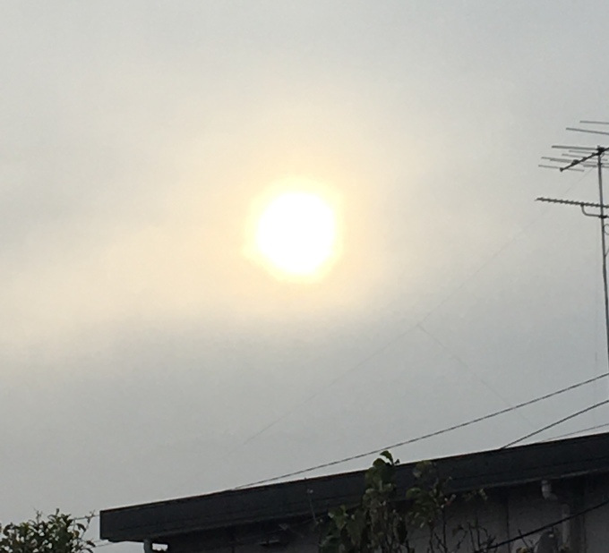 b0042190_23244100.jpeg