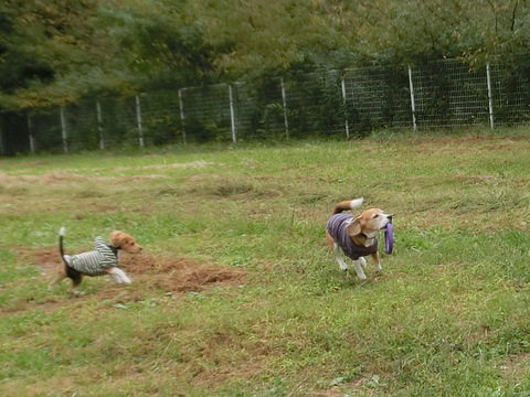 a0319693_7154697.jpg