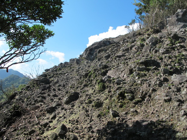 a0166196_1326288.jpg