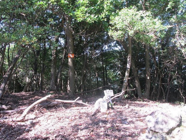 a0166196_13284415.jpg