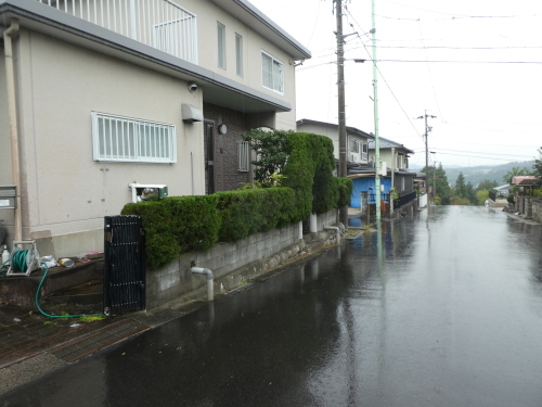 外れました雨になりました_c0108198_15383114.jpg