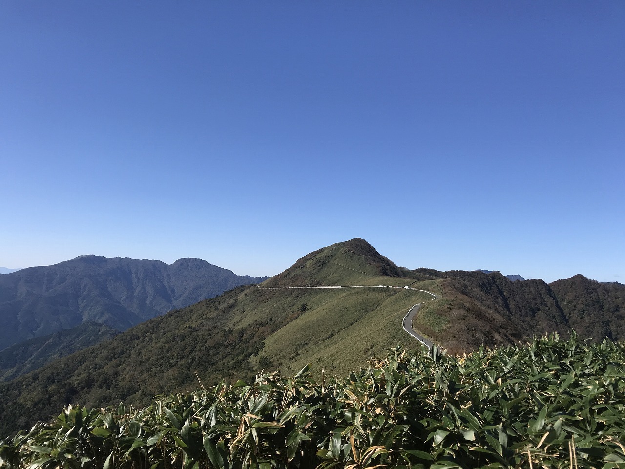 f0308898_10415664.jpg