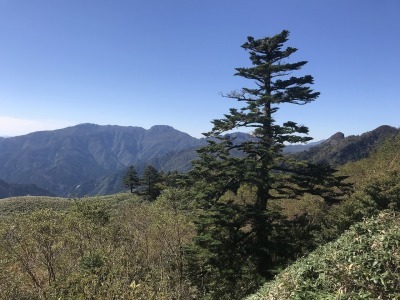 f0308898_10424486.jpg