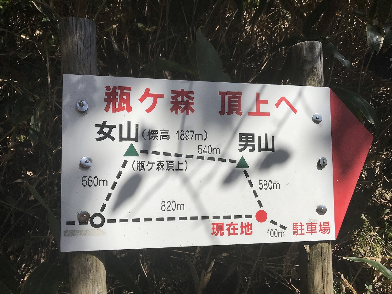 f0308898_10475529.jpg