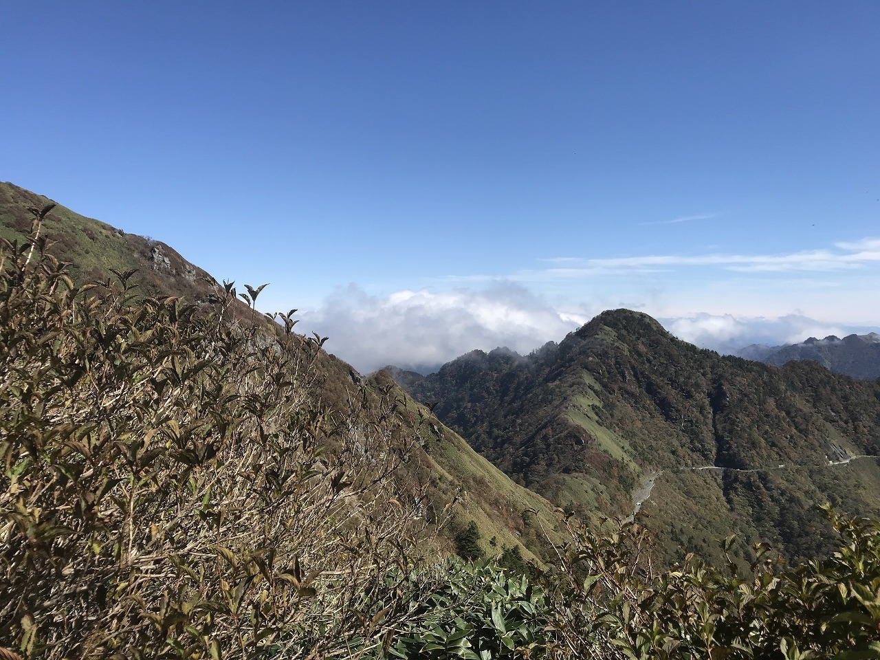 f0308898_10495686.jpg
