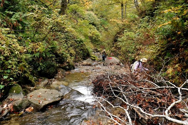 e0137200_20595969.jpg