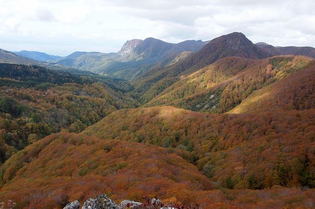 e0137200_2124743.jpg