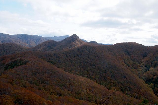 e0137200_213347.jpg