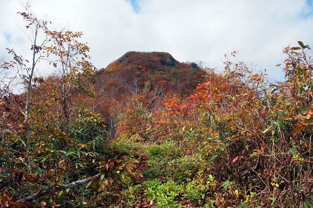 e0137200_2133773.jpg