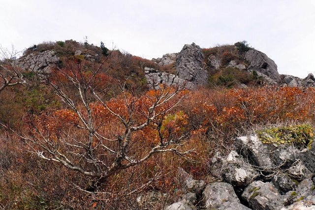 e0137200_215242.jpg