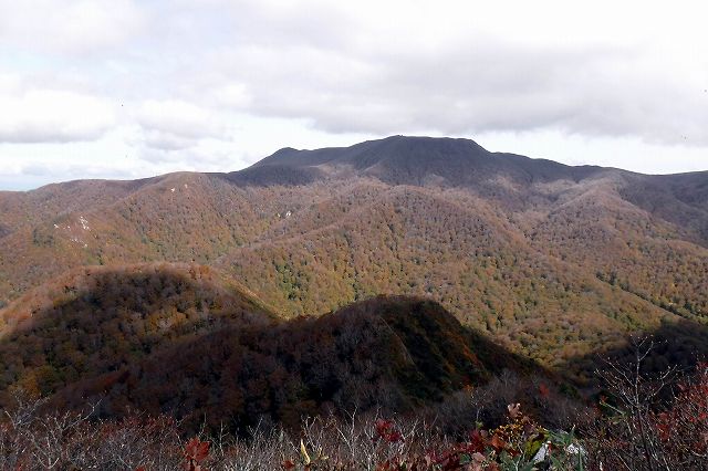 e0137200_216292.jpg