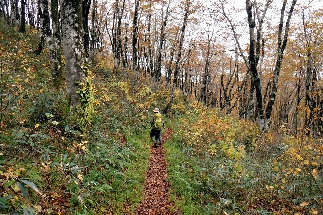 e0137200_2172516.jpg