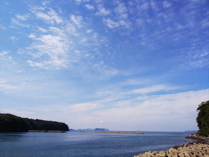秋ですね! 下見(後半)_b0239402_16273058.jpg