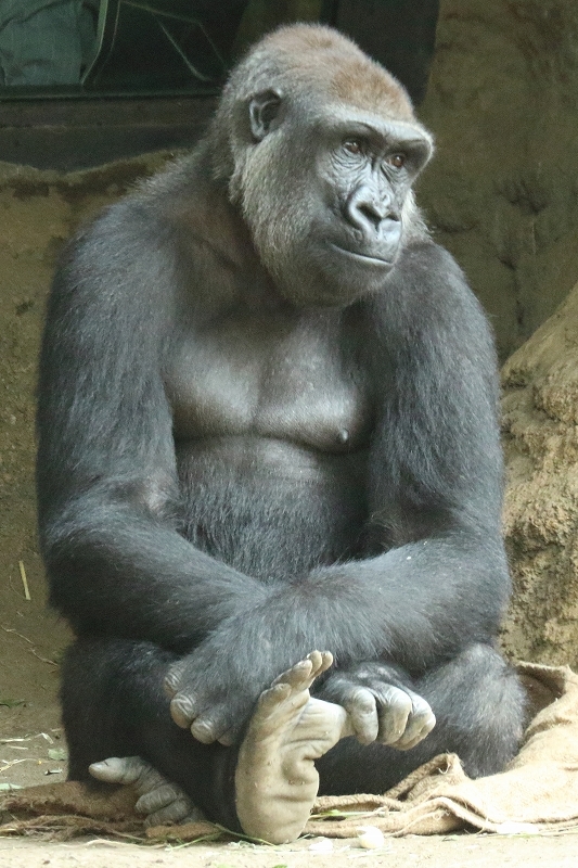b0291402_07490108.jpg