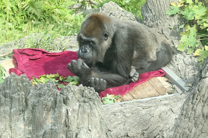 b0291402_07490970.jpg