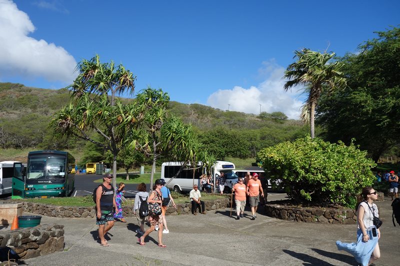 2018 オトナの修学旅行inハワイ～The Busでハナウマ湾へ行ってみた！_d0133704_14544651.jpg