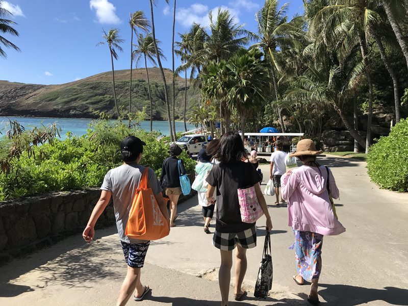 2018 オトナの修学旅行inハワイ～The Busでハナウマ湾へ行ってみた！_d0133704_14550508.jpg