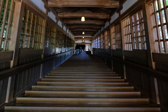 福井の旅_e0000910_12492777.jpg