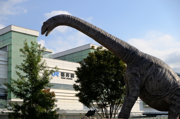 福井の旅_e0000910_12593251.jpg