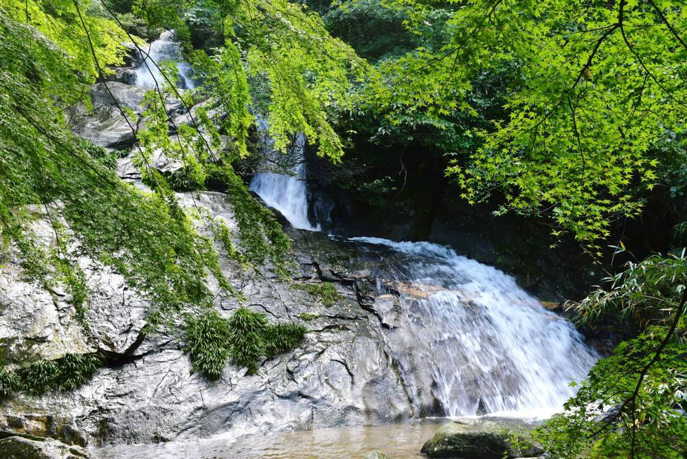 f0212511_20464599.jpg