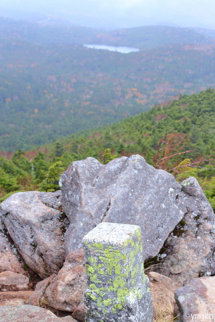 f0157812_16031531.jpg