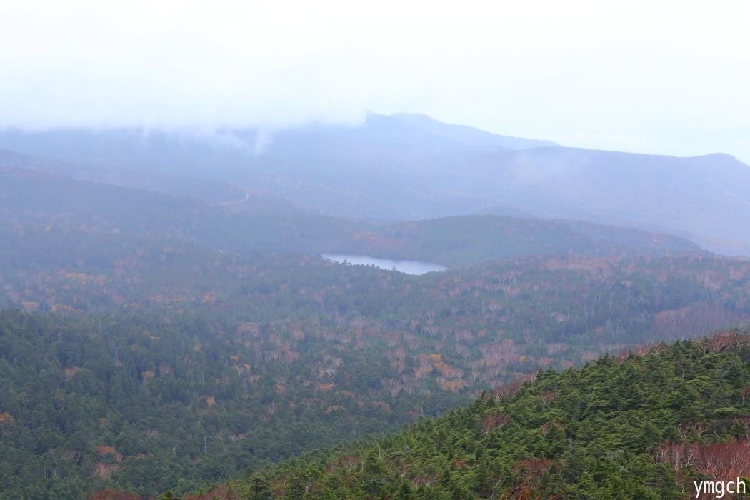 f0157812_16042370.jpg