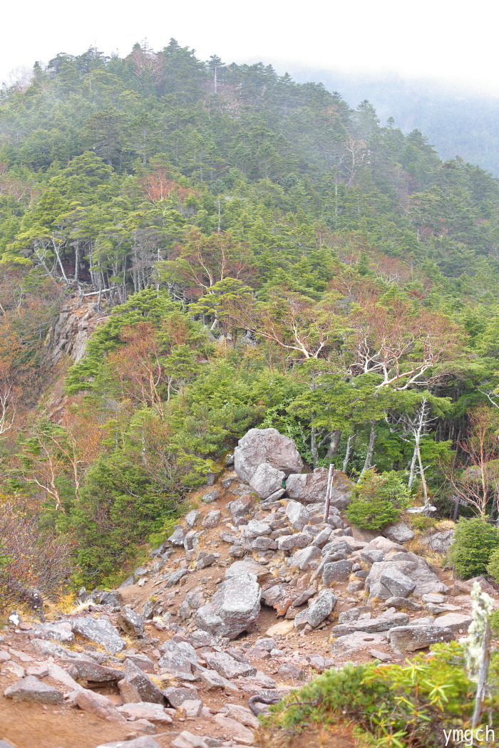 f0157812_16042481.jpg