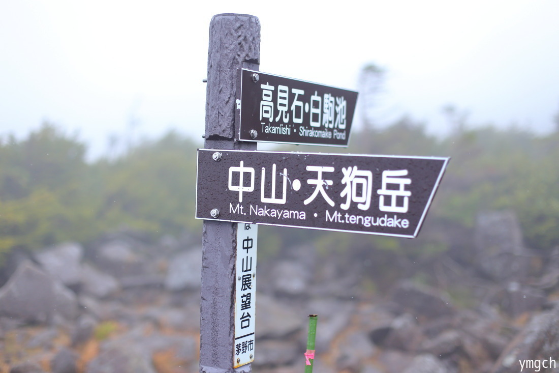 晩秋の白駒池周遊(3)_f0157812_17103938.jpg