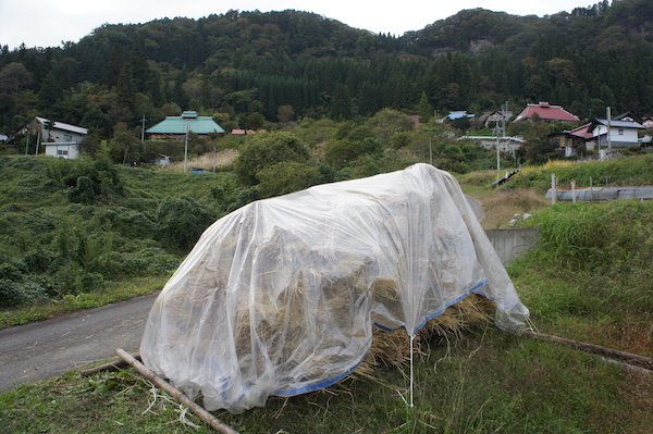 上田の脱穀おわりー♫_e0343613_19034421.jpg