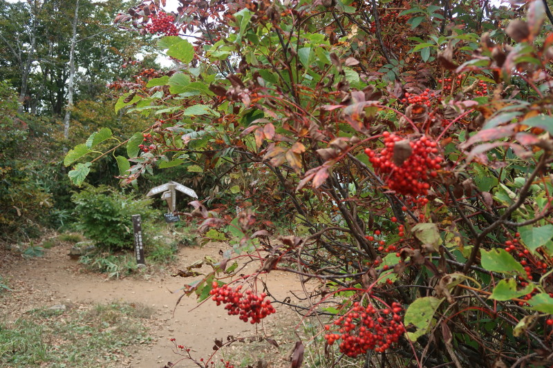 d0103314_23005164.jpg