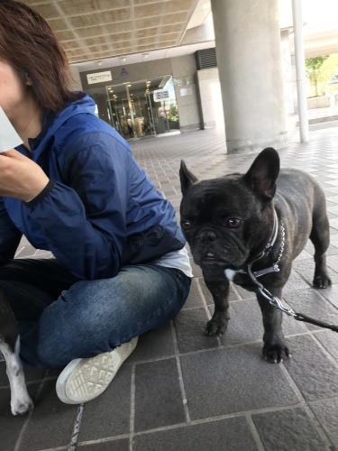d0377714_09102615.jpeg