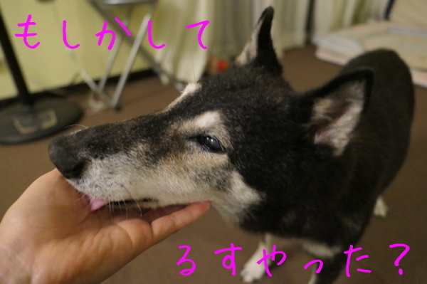 f0369014_08021565.jpg