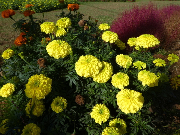d0170615_17013426.jpg