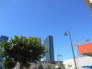 a0242019_04420867.jpg