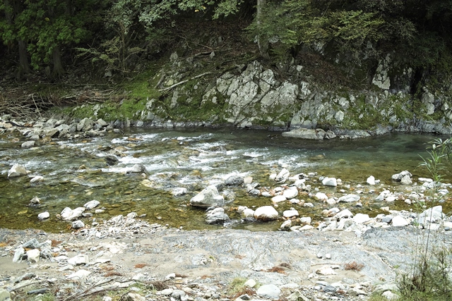 c0044819_7175678.jpg