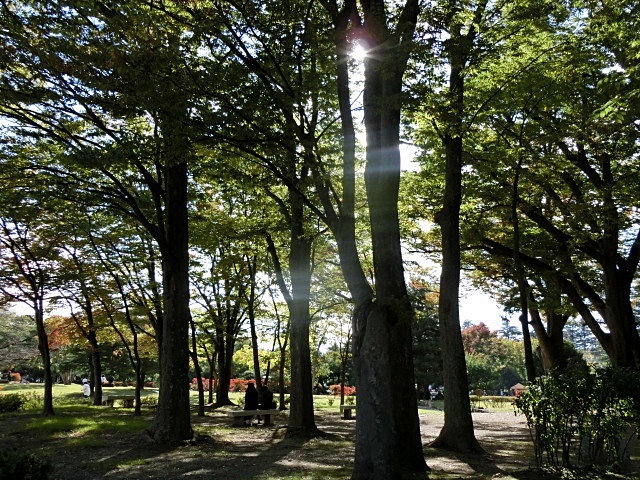 e0234924_10552089.jpg