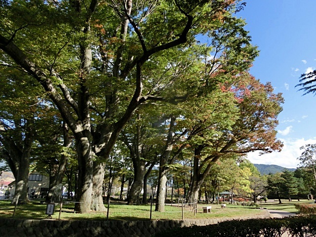 e0234924_10575026.jpg