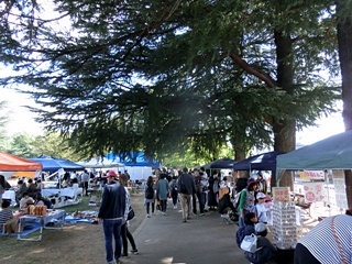 e0234924_11051674.jpg