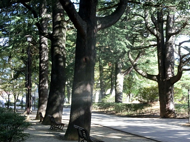 e0234924_11091632.jpg
