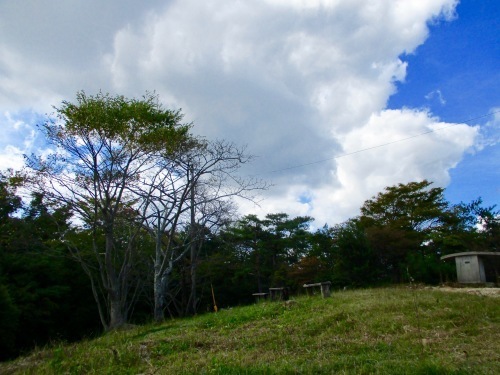 f0158625_17265981.jpg