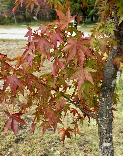 f0002533_08253570.jpg