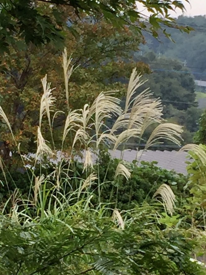 f0002533_08350584.jpg