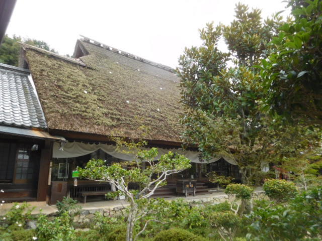 d0106134_22244333.jpg