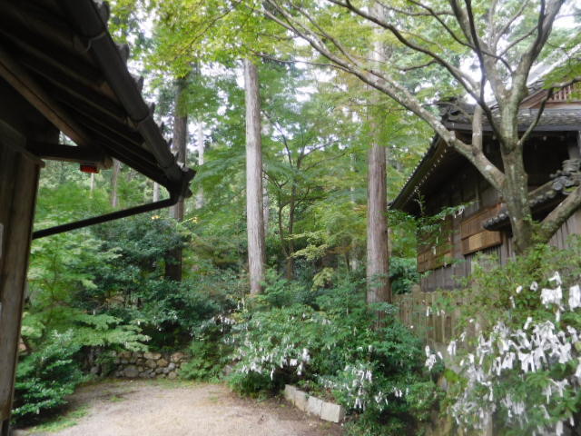 d0106134_22273408.jpg