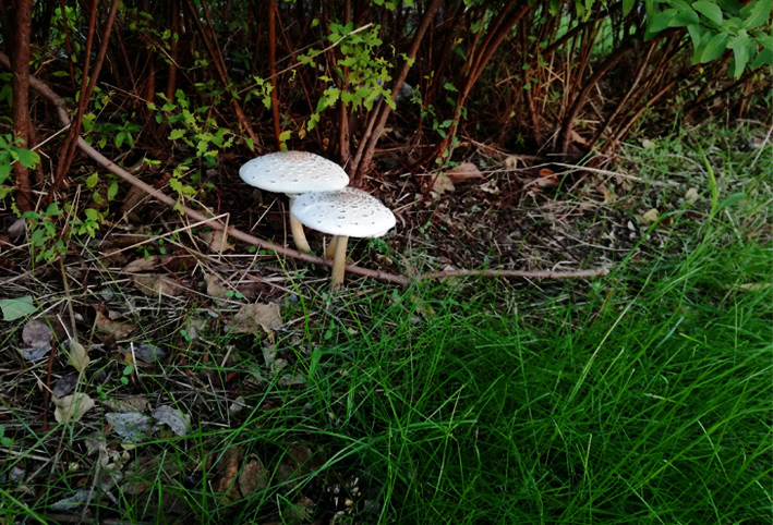 d0351435_06320882.jpg