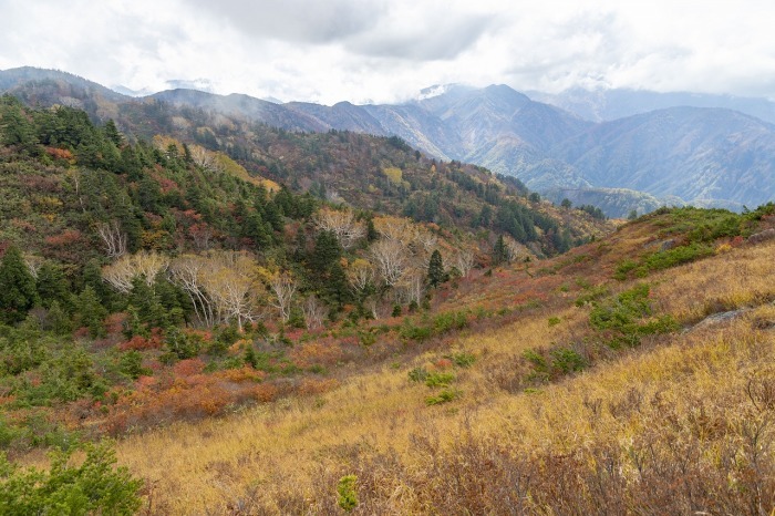 f0297537_08225711.jpg
